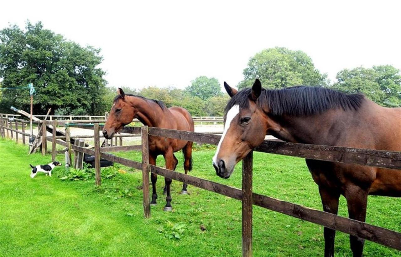 Little Rushbrook Cottages Tanworth Ruang foto
